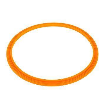 Уплотнительное кольцо Emaux прожектора LED/UL-P100 2021004 | Palau Premium 🟦 Все для будівництва та експлуатації басейнів 🏊🌊