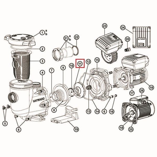 Ущільнююче кільце насоса Hayward Tristar (SPX3021R) 7688 фото